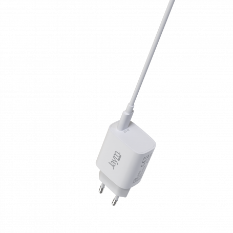 Chargeur rapide Pd 20 W 200 cm USB C vers Lightning et tête de charge  rapide de type C compatible avec iPhone 14 13 12 11 Pro/max Xs/xr/8  Plus/x/ipad, série Airpods